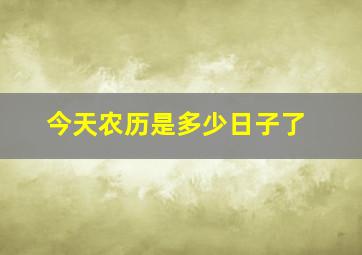 今天农历是多少日子了