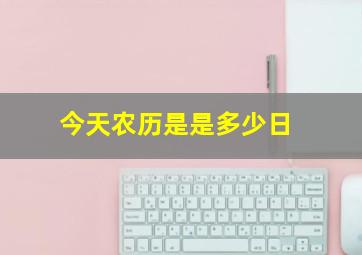 今天农历是是多少日