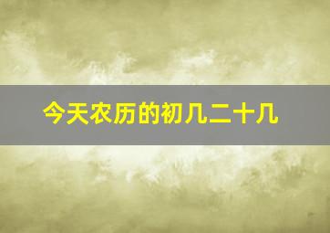 今天农历的初几二十几