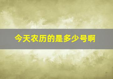 今天农历的是多少号啊