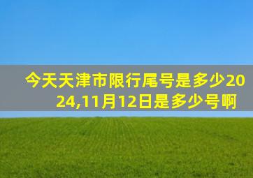 今天天津市限行尾号是多少2024,11月12日是多少号啊