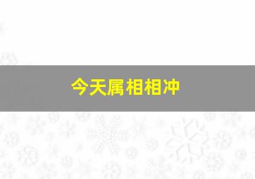 今天属相相冲