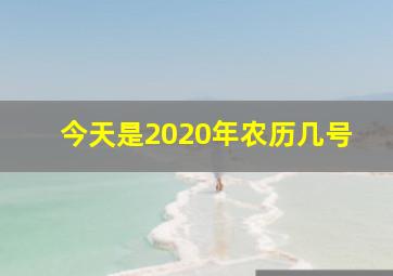 今天是2020年农历几号