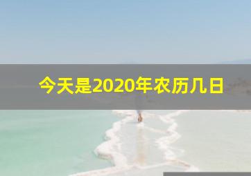 今天是2020年农历几日