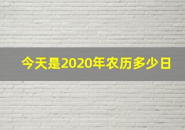 今天是2020年农历多少日