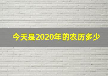 今天是2020年的农历多少