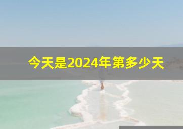 今天是2024年第多少天