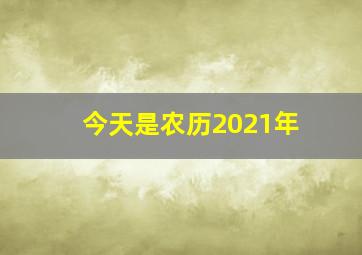 今天是农历2021年