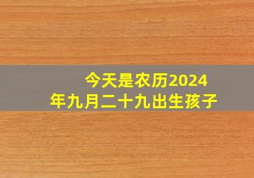 今天是农历2024年九月二十九出生孩子