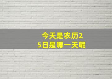 今天是农历25日是哪一天呢