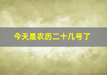 今天是农历二十几号了