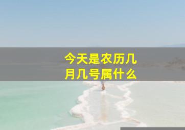 今天是农历几月几号属什么