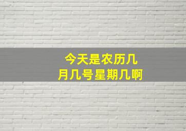 今天是农历几月几号星期几啊