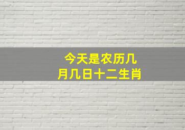 今天是农历几月几日十二生肖