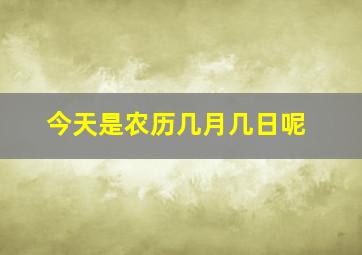 今天是农历几月几日呢