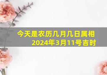 今天是农历几月几日属相2024年3月11号吉时