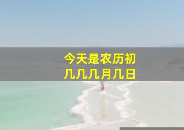 今天是农历初几几几月几日