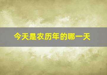 今天是农历年的哪一天