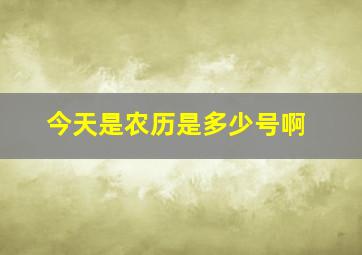 今天是农历是多少号啊