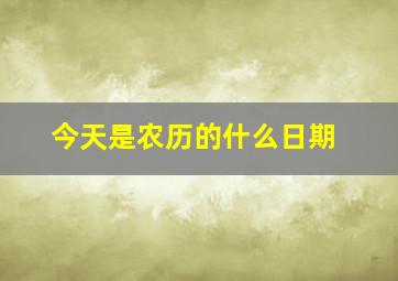 今天是农历的什么日期