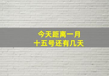 今天距离一月十五号还有几天