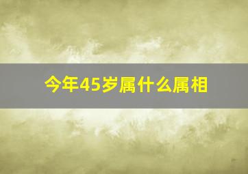 今年45岁属什么属相