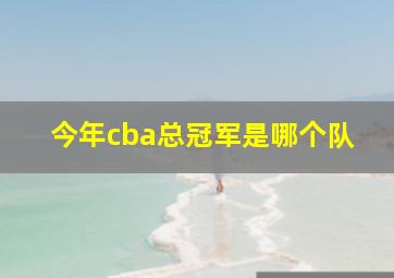 今年cba总冠军是哪个队