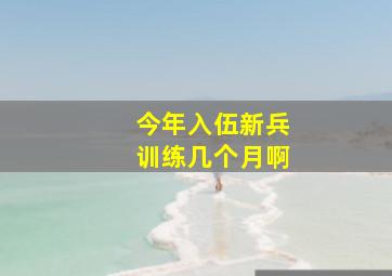 今年入伍新兵训练几个月啊