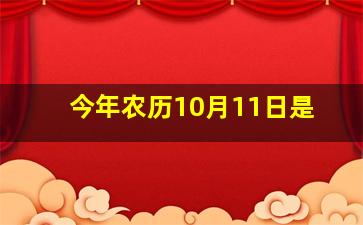 今年农历10月11日是