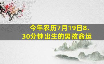 今年农历7月19日8.30分钟出生的男孩命运