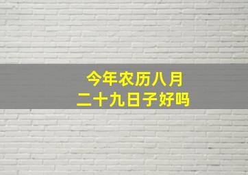 今年农历八月二十九日子好吗