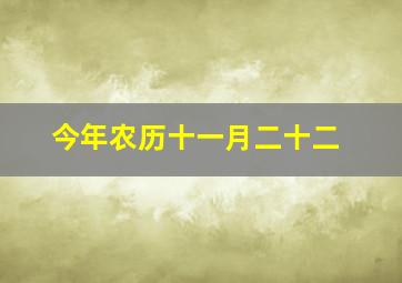 今年农历十一月二十二