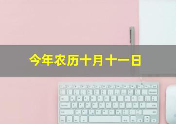 今年农历十月十一日