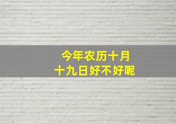 今年农历十月十九日好不好呢