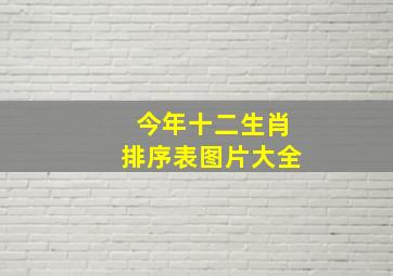 今年十二生肖排序表图片大全