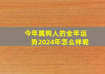 今年属狗人的全年运势2024年怎么样呢