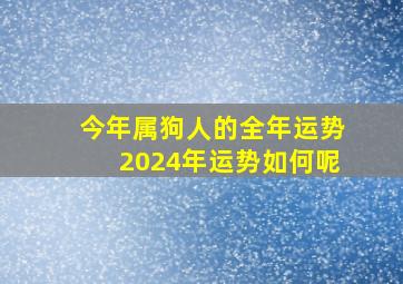 今年属狗人的全年运势2024年运势如何呢