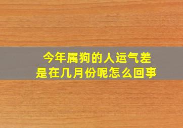 今年属狗的人运气差是在几月份呢怎么回事