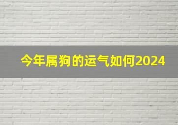 今年属狗的运气如何2024