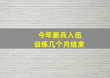 今年新兵入伍训练几个月结束