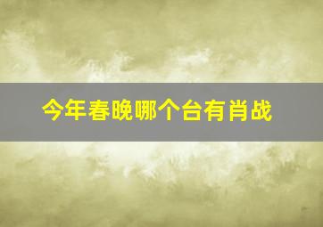 今年春晚哪个台有肖战