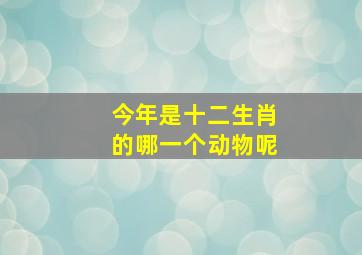 今年是十二生肖的哪一个动物呢