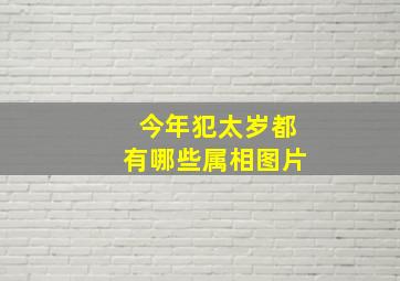 今年犯太岁都有哪些属相图片