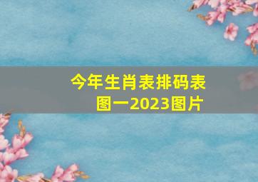 今年生肖表排码表图一2023图片