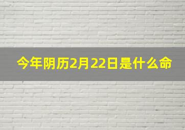 今年阴历2月22日是什么命