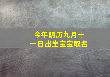 今年阴历九月十一日出生宝宝取名