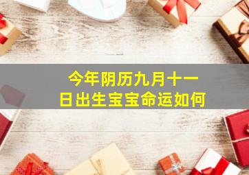 今年阴历九月十一日出生宝宝命运如何