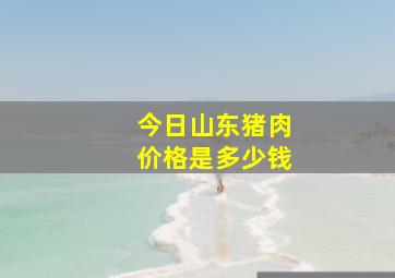 今日山东猪肉价格是多少钱