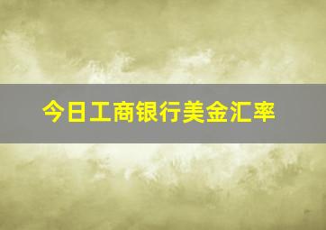 今日工商银行美金汇率