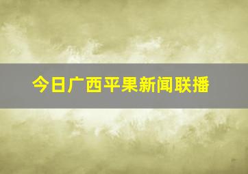 今日广西平果新闻联播